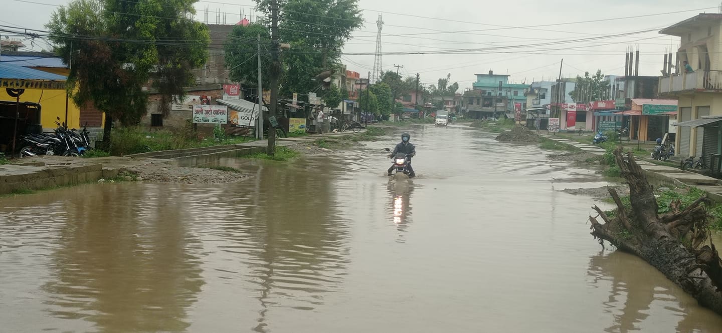 लगातारको वर्षाले धनगढी डुबानमा, निकास नखोले धनगढीमा 'ब्लाक आउट'!